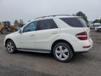 Finksburg, MD에서 판매 중인 2010 Mercedes-Benz Ml 350 4Matic - Rear End