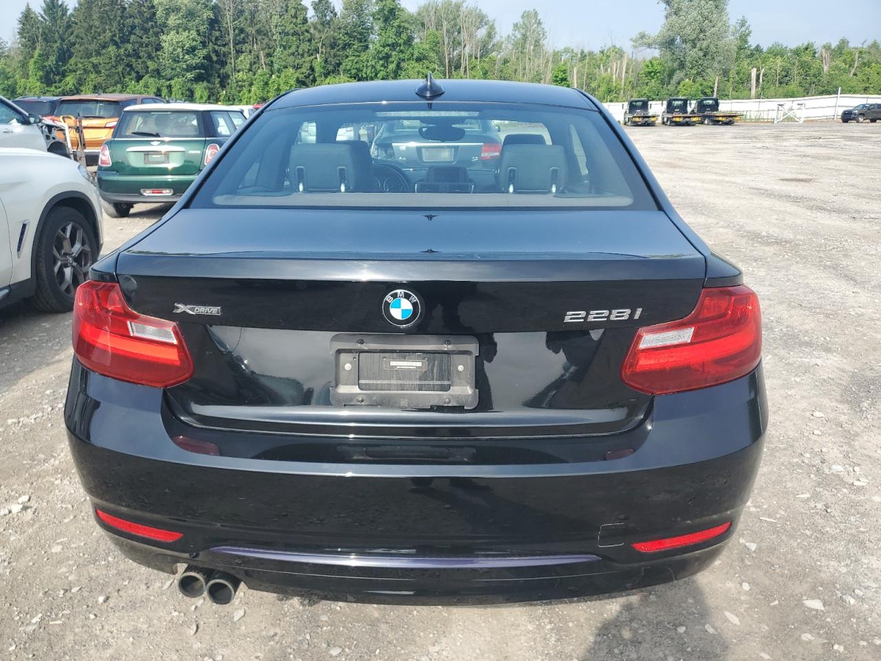 2016 BMW 228 Xi Sulev VIN: WBA1G9C52GV598419 Lot: 62464515