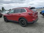 2025 Honda Cr-V Sport-L за продажба в Eugene, OR - Front End