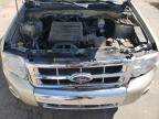 2010 Ford Escape Limited for Sale in Littleton, CO - Front End