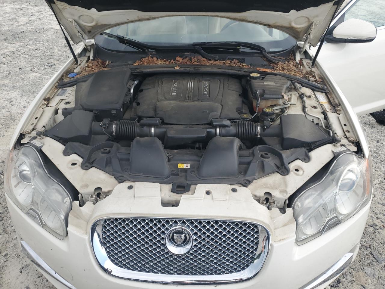 2010 Jaguar Xf Premium VIN: SAJWA0GB6ALR64862 Lot: 61594335