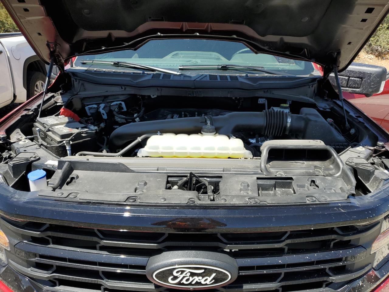 2024 Ford F150 Xlt VIN: 1FTFW3L85RKF65695 Lot: 62419235