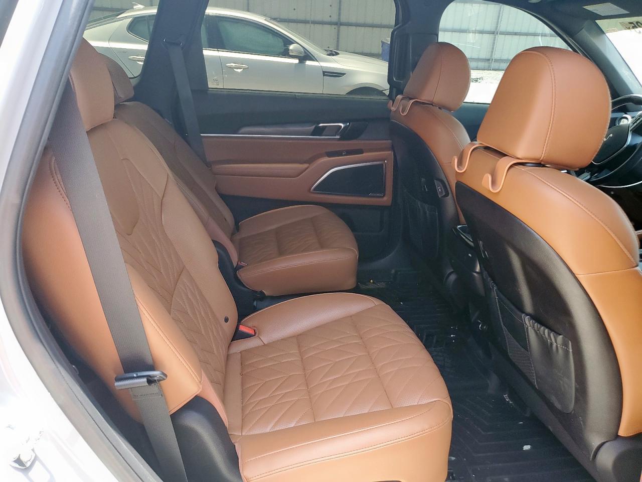 2024 Kia Telluride Sx VIN: 5XYP5DGC3RG476869 Lot: 62074425