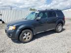 Albany, NY에서 판매 중인 2009 Ford Escape Xlt   - Front End