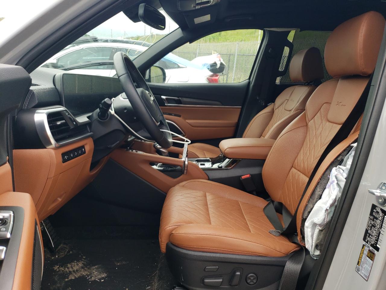 2024 Kia Telluride Sx VIN: 5XYP5DGC2RG534955 Lot: 59326615