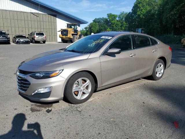  CHEVROLET MALIBU 2023 tan