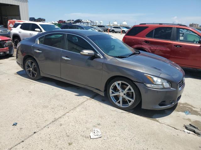  NISSAN MAXIMA 2013 Gray