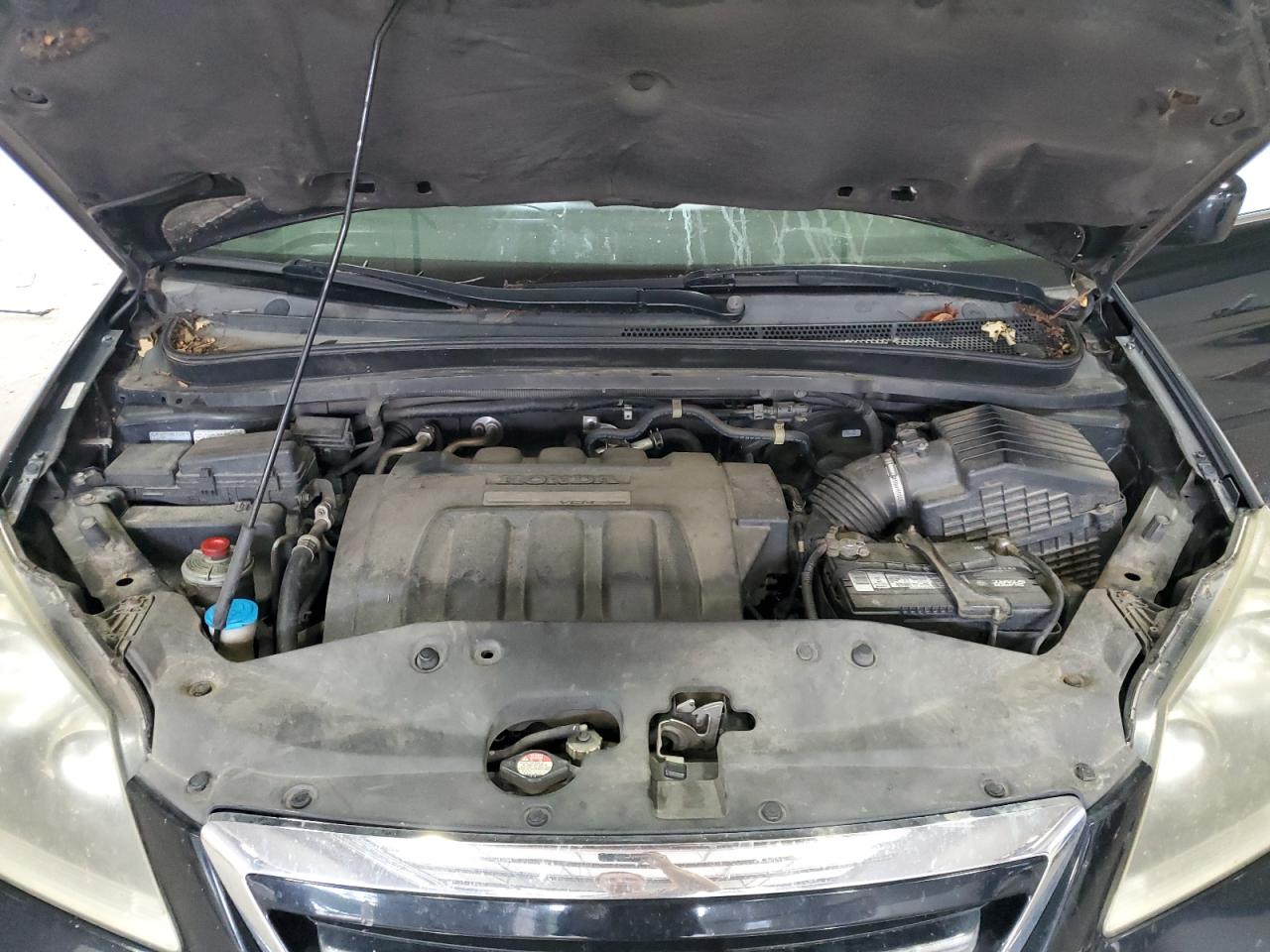 2007 Honda Odyssey Exl VIN: 5FNRL38707B119387 Lot: 62262505
