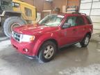 2010 Ford Escape Xlt за продажба в Ebensburg, PA - Front End