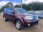 2011 HONDA PILOT EXL   for sale at Copart FL - JACKSONVILLE NORTH