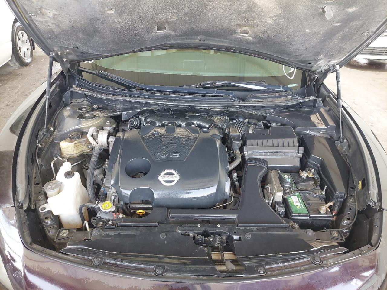 1N4AA5AP8BC804502 - 2011 Nissan MAXIMA - #undefined
