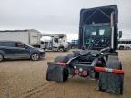 2016 Freightliner Cascadia 125 Semi Truck იყიდება Wilmer-ში, TX - Normal Wear
