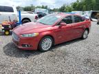 2016 Ford Fusion Se Phev   продається в Riverview, FL - Normal Wear