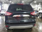 2013 Ford Escape Sel للبيع في Ham Lake، MN - Front End