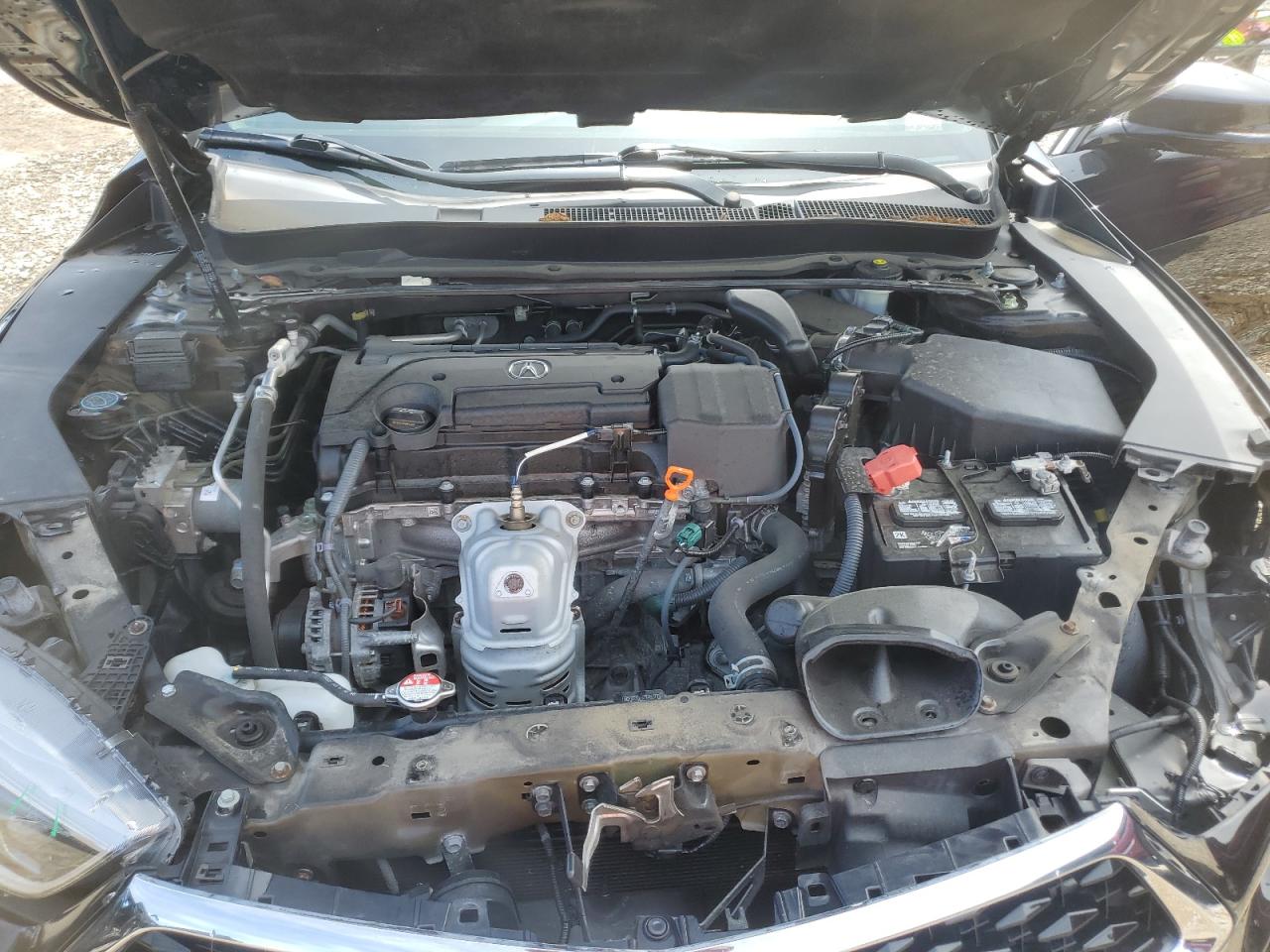 2020 Acura Tlx Technology VIN: 19UUB1F53LA013362 Lot: 61253925