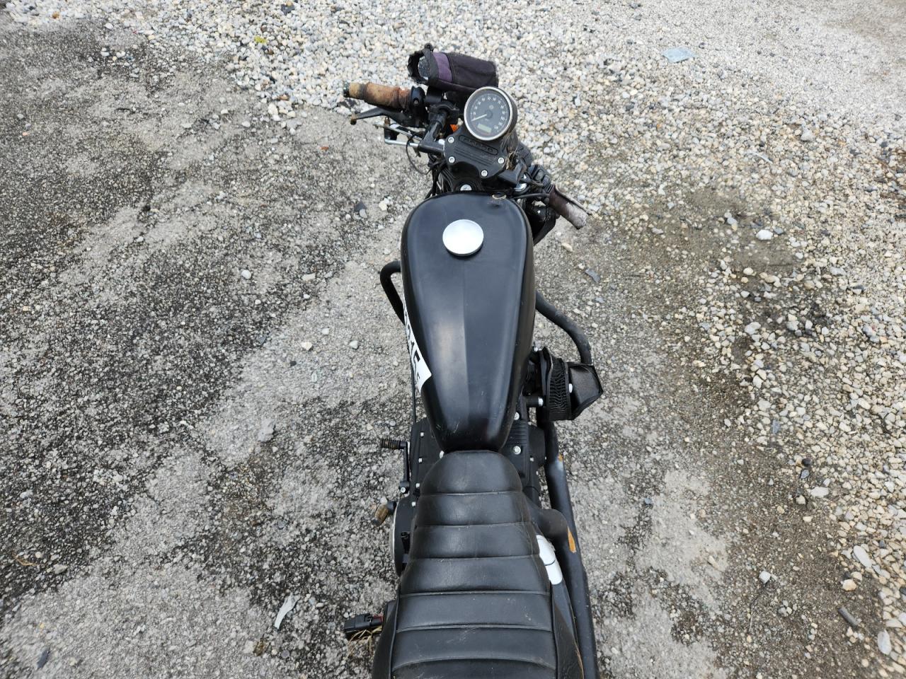 2019 Harley-Davidson Xl883 N VIN: 1HD4LE21XKC428007 Lot: 60673315