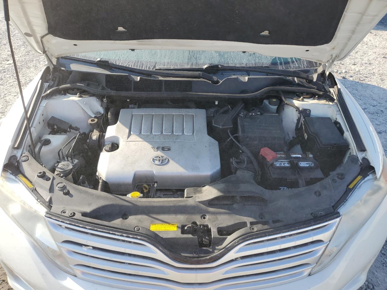 2009 Toyota Venza VIN: 4T3BK11A59U010466 Lot: 61141625