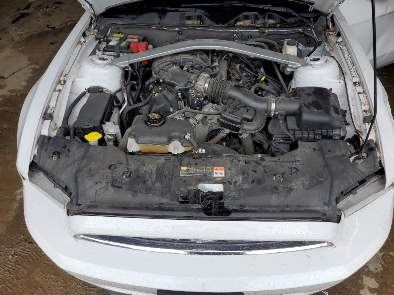 FORD ALL Models 2014 VIN 1ZVBP8EM3E5328616 фото 11