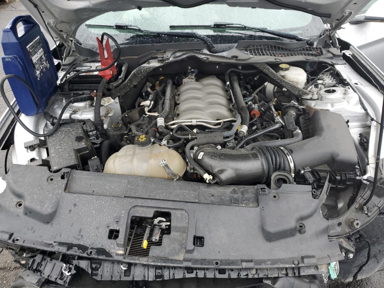 2019 Ford Mustang Gt VIN: 1FATP8FF4K5104764 Lot: 59046535