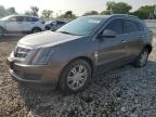 2011 Cadillac Srx Luxury Collection for Sale in Chicago Heights, IL - Rear End