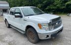 2011 FORD F150 SUPERCREW   for sale at Copart KY - LEXINGTON WEST