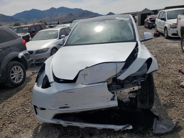  TESLA MODEL Y 2024 Білий