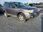 2009 Ford Escape Xls na sprzedaż w Riverview, FL - Mechanical