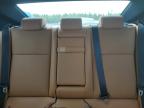 2023 LEXUS IS 300 for sale at Copart NB - MONCTON