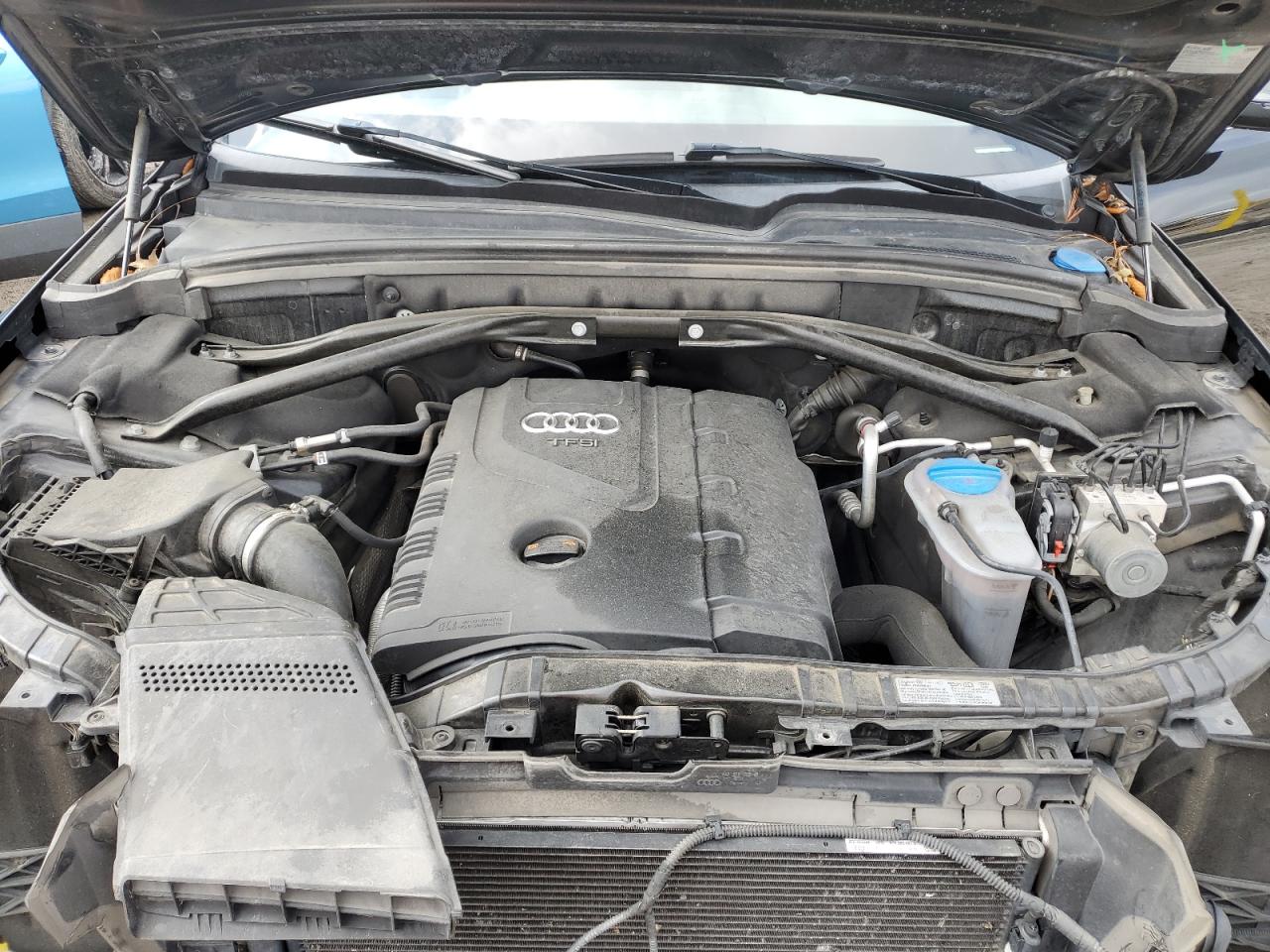 2013 Audi Q5 Premium Plus VIN: WA1LFAFP0DA089424 Lot: 60073035