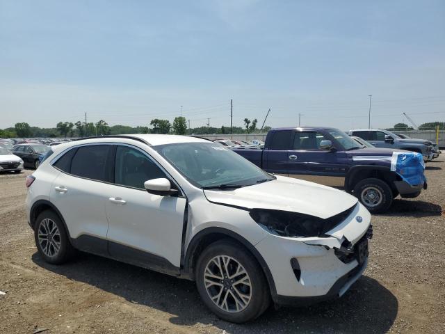  FORD ESCAPE 2020 Белы