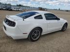 2013 FORD MUSTANG    for sale at Copart AB - EDMONTON