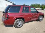 2009 Chevrolet Trailblazer Lt for Sale in Davison, MI - Front End