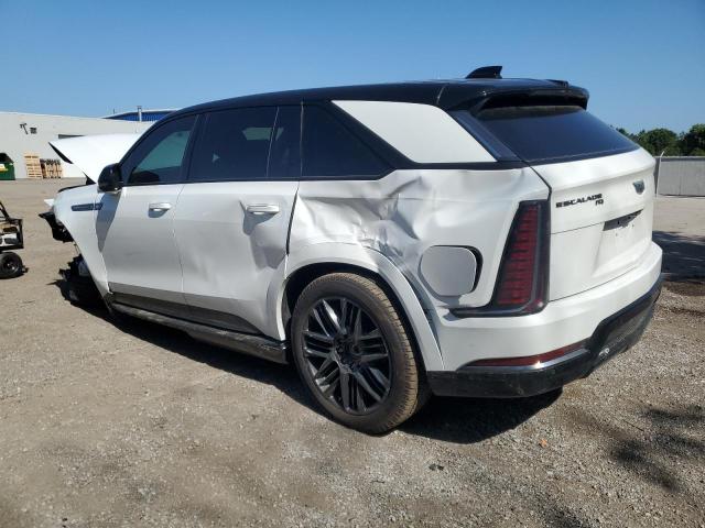 2025 CADILLAC ESCALADE IQ SPORT-1  