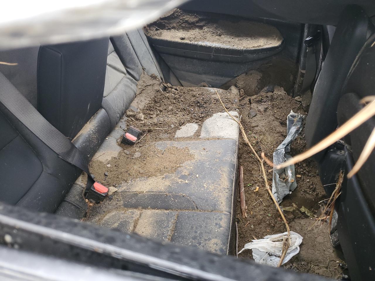 2024 Chevrolet Trailblazer Rs VIN: KL79MUSL0RB042905 Lot: 62715645