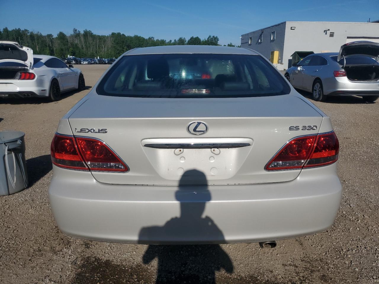 2005 Lexus Es 330 VIN: JTHBA30G155074945 Lot: 62815505