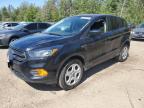 2019 FORD ESCAPE S   à vendre chez Copart ON - COOKSTOWN