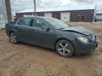 2009 Chevrolet Malibu 2Lt   for Sale in Rapid City, SD - Hail