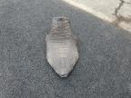 2007 Other Motorcycle Rhino 660 na sprzedaż w North Las Vegas, NV - Minor Dent/Scratches