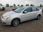2011 Ford Focus Se იყიდება Rocky View County-ში, AB - Rear End