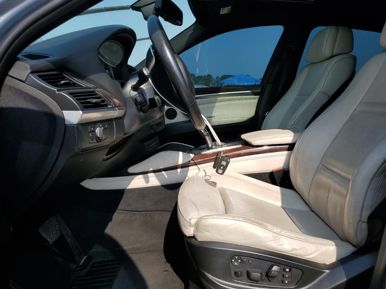 2010 BMW X6 Hybrid VIN: 5UXFH0C54ALC66245 Lot: 62366705