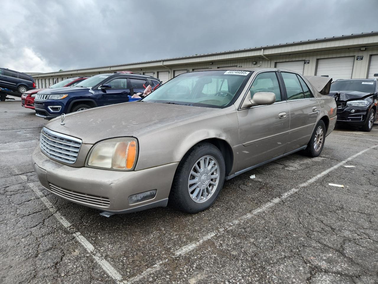 2001 Cadillac Deville for Sale in Louisville, KY - Rear End
