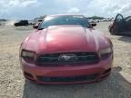 2014 Ford Mustang  на продаже в Memphis, TN - Hail