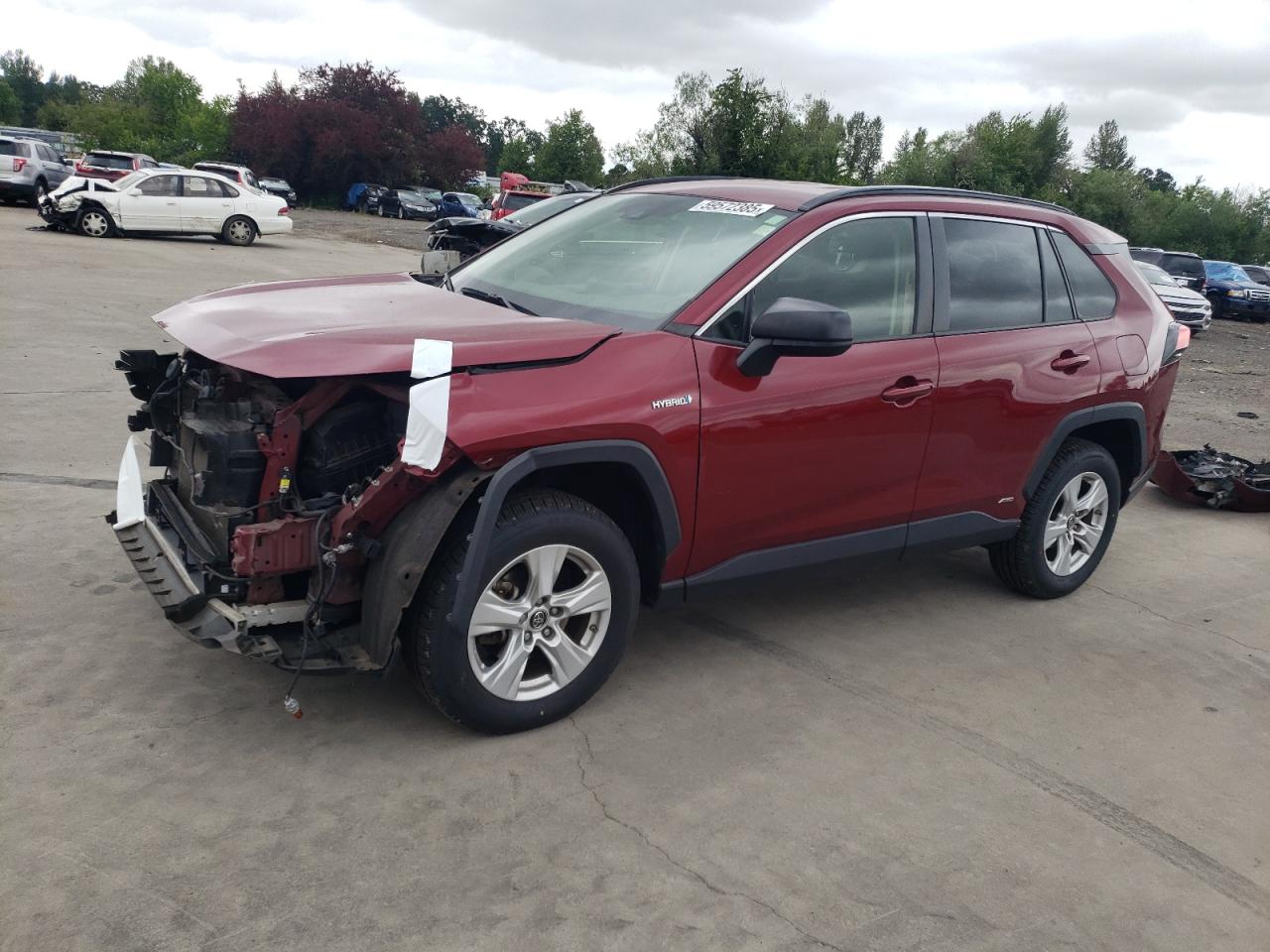 2019 Toyota Rav4 Le na sprzedaż w Woodburn, OR - Front End