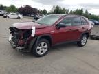 2019 Toyota Rav4 Le na sprzedaż w Woodburn, OR - Front End
