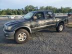 2003 Toyota Tacoma Double Cab Prerunner   продається в Riverview, FL - Water/Flood