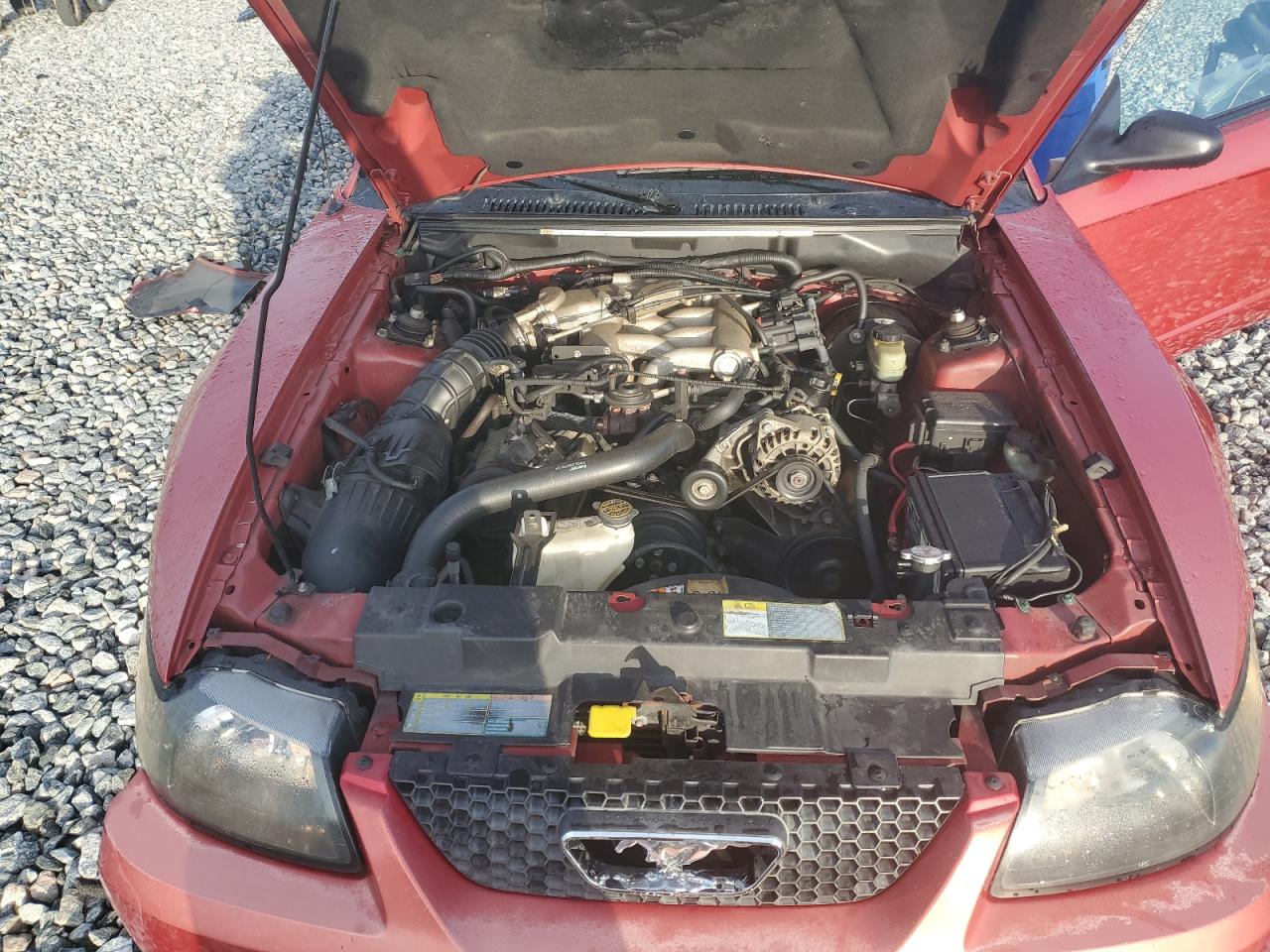 2001 Ford Mustang VIN: 1FAFP44471F137628 Lot: 62636245