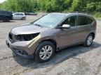 2013 Honda Cr-V Exl на продаже в Marlboro, NY - Front End