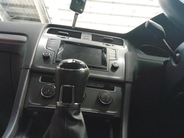 2013 VOLKSWAGEN GOLF S BLU
