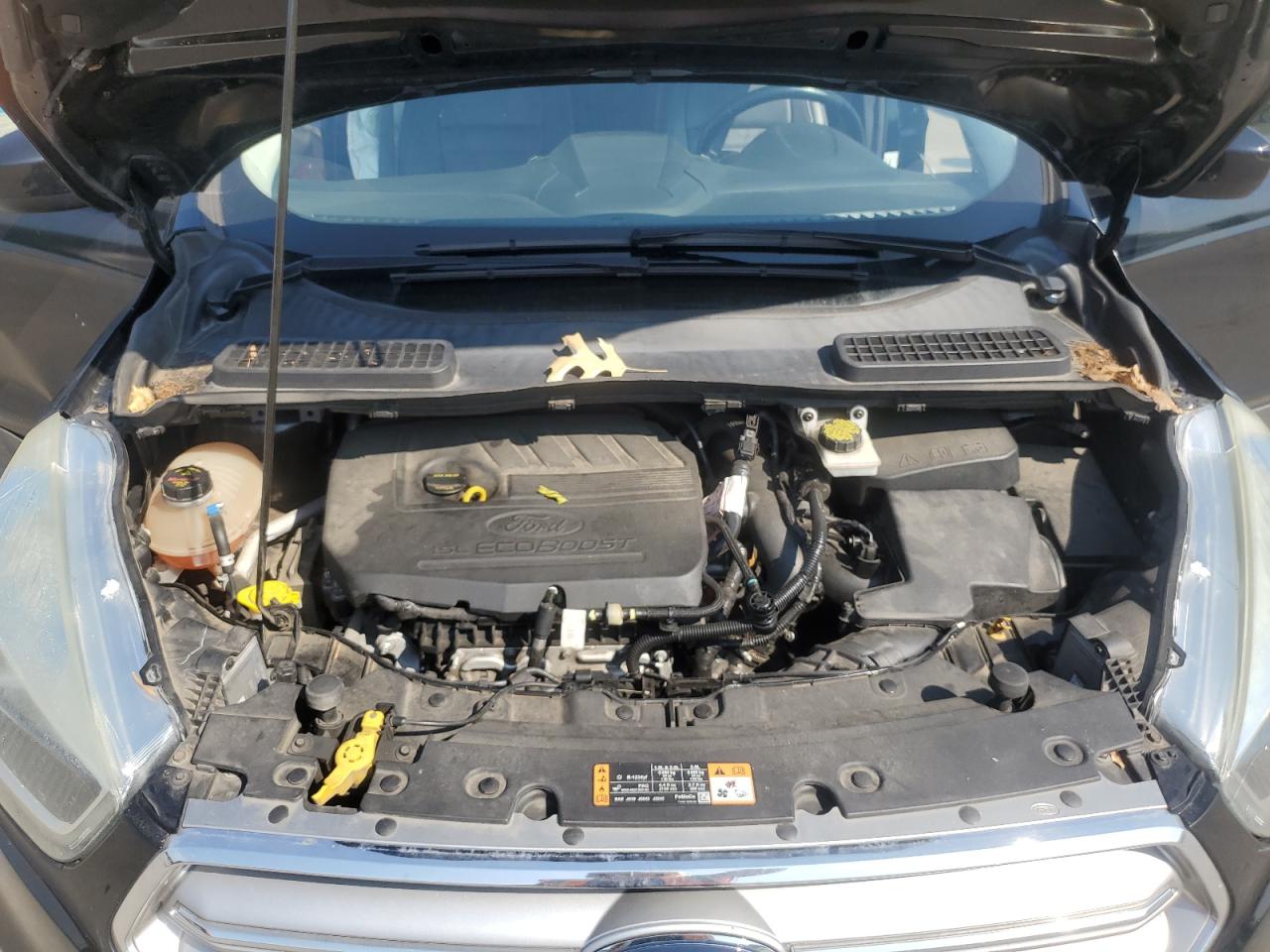 FORD ESCAPE 2017 VIN 1FMCU0GD6HUC67153 photo 12