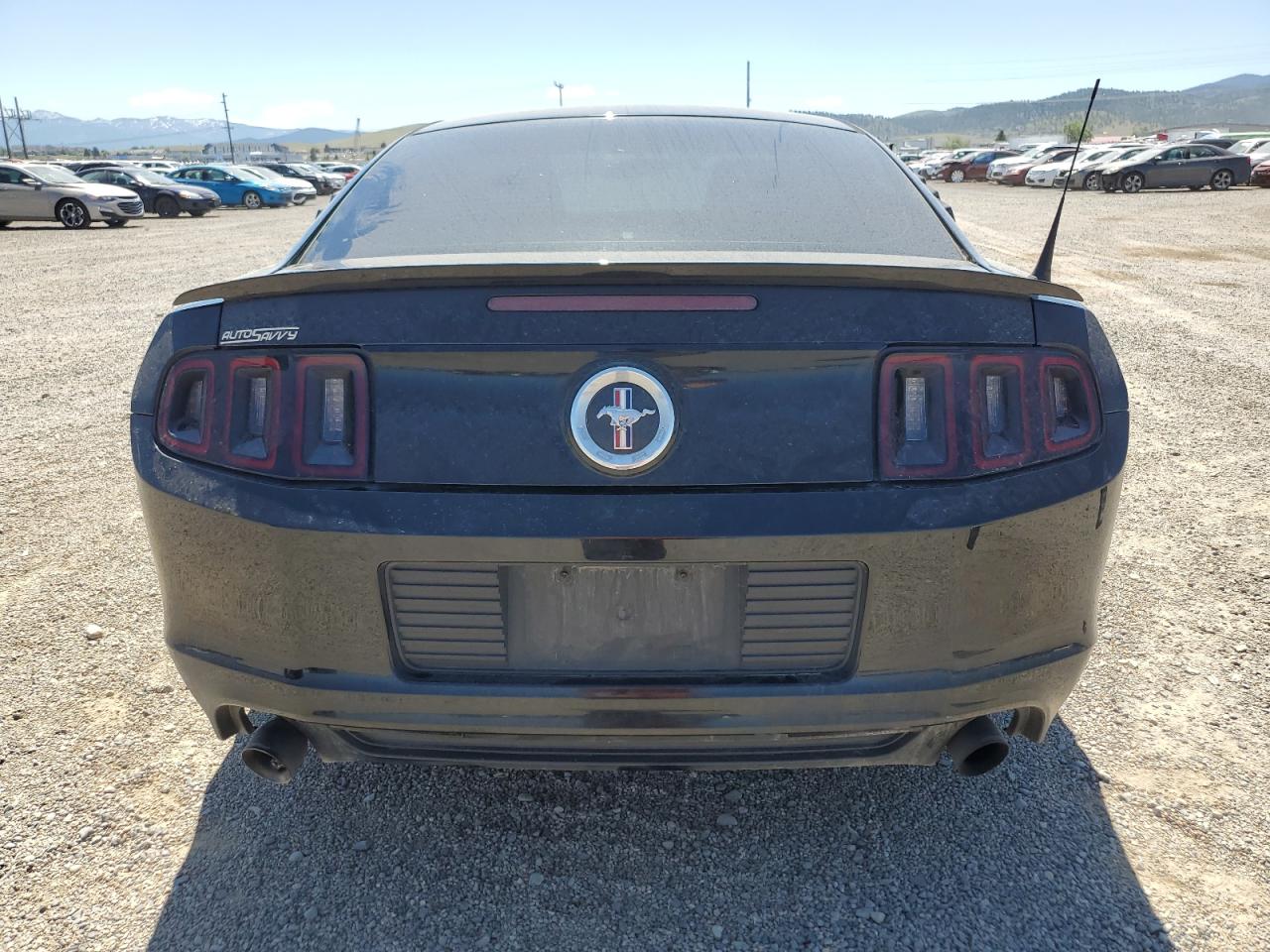 2013 Ford Mustang VIN: 1ZVBP8AM7D5219239 Lot: 59888075